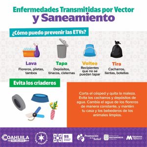 ¡PROTEGE TU FUTURO: SANEAMIENTO Y LUCHA CONTRA ENFERMEDADES POR VECTORES!