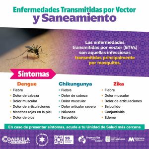 🚨 ¿DENGUE, ZIKA O CHIKUNGUNYA? ¡INFÓRMATE!