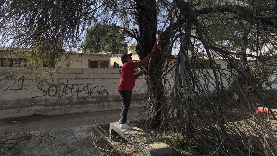 Limpieza de Áreas Públicas🧹