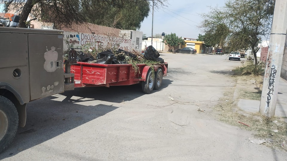 Limpieza de Áreas Públicas🧹